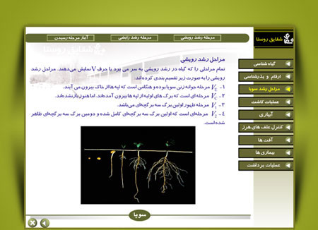 مولتی مدیای آموزش کاشت سویا