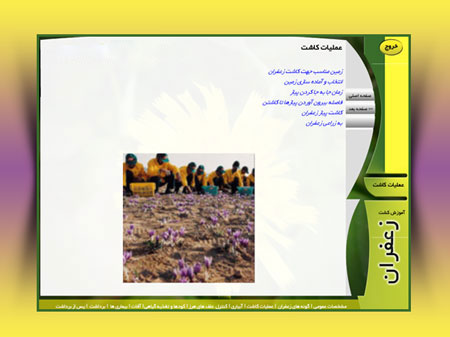 مولتی مدیای آموزش کاشت و پرورش زعفران