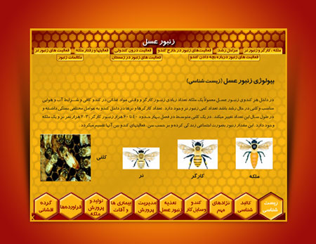 مولتی مدیای آموزش پرورش زنبور عسل