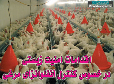 کنترل بیماری آنفلوانزای مرغی