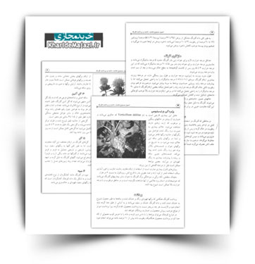 کتاب الکترونیکی اصول صحیح کاشت، داشت و برداشت گلرنگ