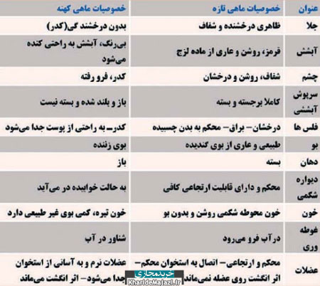 مقاله ماهی غذای سلامتی