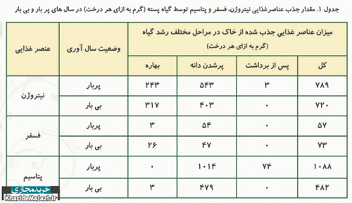 نیاز غذایی درختان بارور پسته