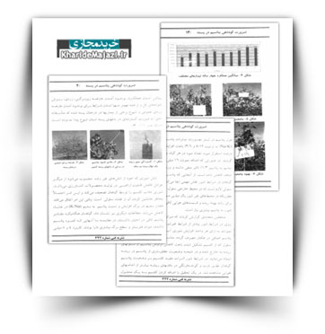 کتاب الکترونیکی ضرورت کوددهی پتاسیم در پسته