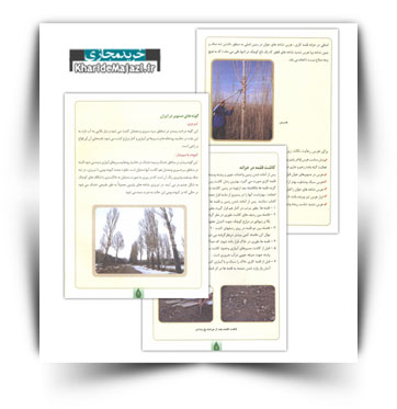 کتاب الکترونیکی زراعت چوب ( صنوبر کاری )