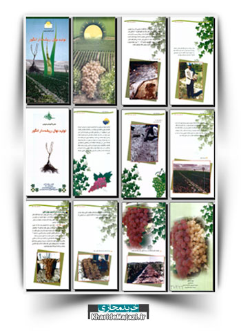 مجموعه نشریات آموزشی در زمینه کاشت و پرورش انگور