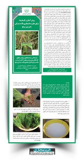 مجموعه نشریات آموزشی برنج
