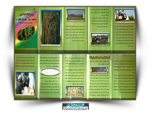مجموعه نشریات آموزشی برنج