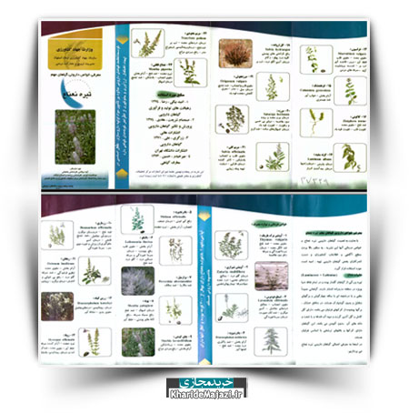 مجموعه نشریات آموزشی معرفی و کاشت گیاهان دارویی