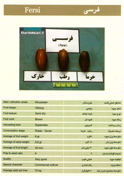 معرفی تصویری ارقام مختلف خرما