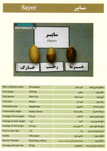 معرفی تصویری ارقام مختلف خرما