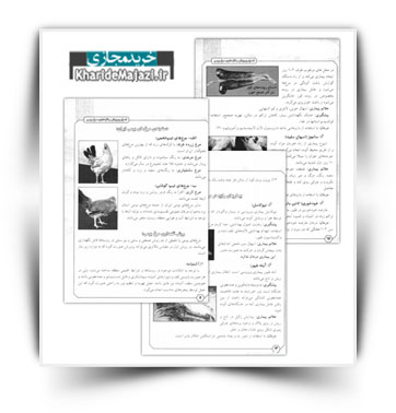 کتاب آموزش اصول پرورش و نگهداری مرغ بومی