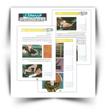 کتاب آموزش سم چینی و مراقبت از سم در دام ها