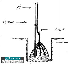 آموزش ایجاد باغ میوه