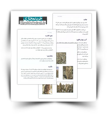 کتاب آموزش سورگوم دانه ای