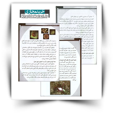 کتاب آموزشی گرده گل و نقش زنبور عسل در گرده افشانی