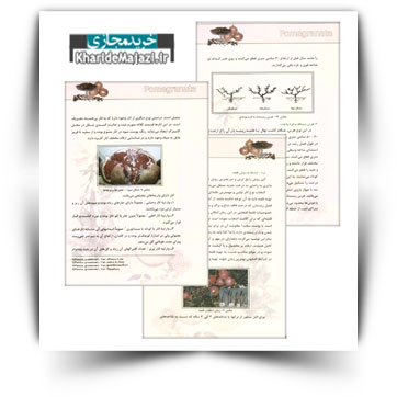 کتاب آموزشی انار