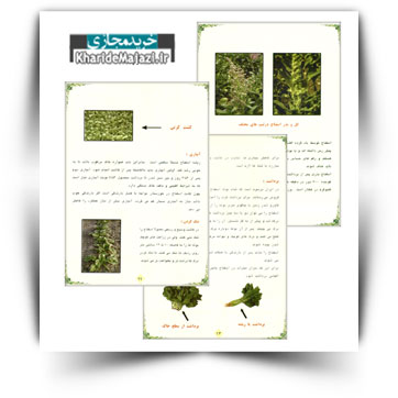 کتاب آموزشی اسفناج