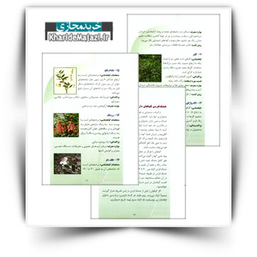 کتاب آموزشی آشنایی با گیاهان دارویی استان لرستان
