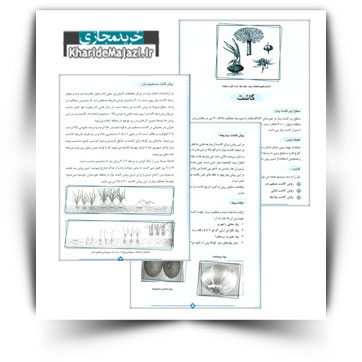 کتاب آموزشی زراعت پیاز در خوزستان