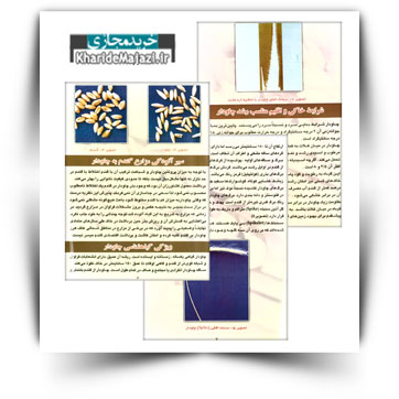 کتاب آموزشی شناسایی و کنترل چاودار در مزارع گندم استان فارس