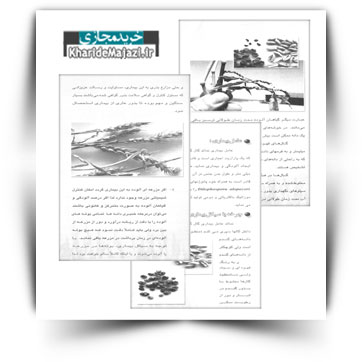 کتاب آموزشی مقدار آب مورد نیاز گندم در خوزستان