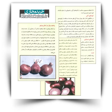 کتاب آموزشی کشت پیاز در استان بوشهر