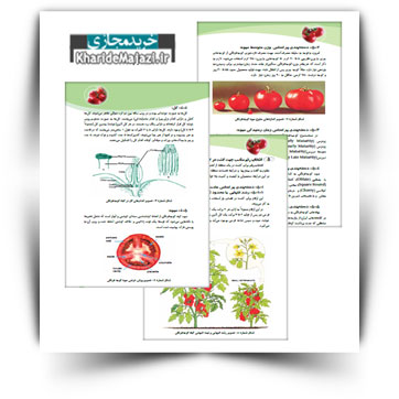 کتاب آموزشی گوجه فرنگی