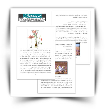 کتاب آموزشی زراعت زعفران