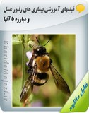 فیلم های آموزشی بیماری های زنبور عسل و مبارزه با آنها Image