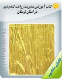 کتاب آموزشی مدیریت زراعت گندم دیم در استان لرستان Image