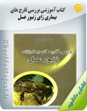 کتاب آموزشی بررسی قارچ های بیماری زای زنبور عسل Image