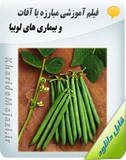 فیلم آموزشی مبارزه با آفات و بیماری های لوبیا Image