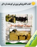 کتاب الکترونیکی پرورش گوسفند قره گل Image