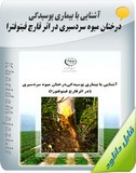 آشنایی با بیماری پوسیدگی درختان میوه سردسیری در اثر قارچ فیتوفترا Image