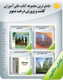 جامع ترین مجموعه کتاب های آموزش کاشت و پرورش درخت صنوبر Image