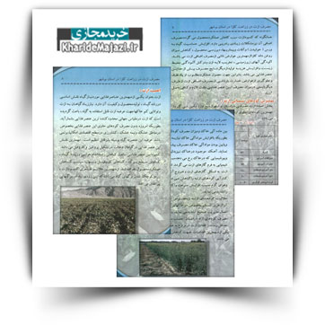 کتاب آموزشی مصرف ازت در زراعت کلزا در استان بوشهر