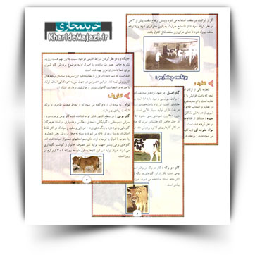 کتاب آموزشی پرورش گاو شیری در استان هرمزگان