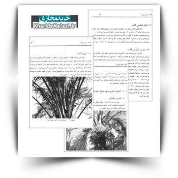 کتاب آموزشی آفات مهم خرما دراستان بوشهر