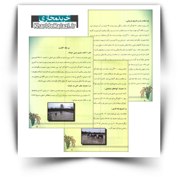 کتاب آموزشی اصول بهزراعی برنج رقم درفک