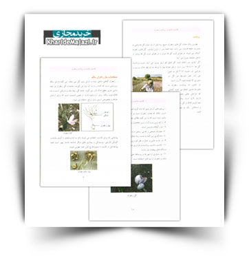 کتاب الکترونیکی کاشت زعفران