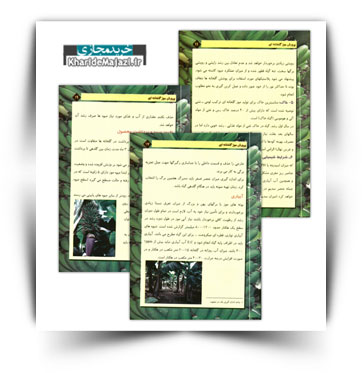 کتاب الکترونیکی پرورش موز گلخانه ای در مازندران