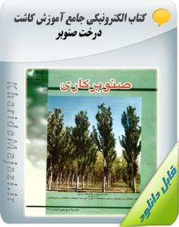 کتاب الکترونیکی جامع آموزش کاشت درخت صنوبر