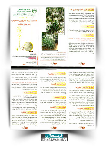 مجموعه نشریات آموزشی معرفی و کاشت گیاهان دارویی