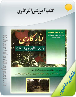 کتاب آموزشی انار کاری