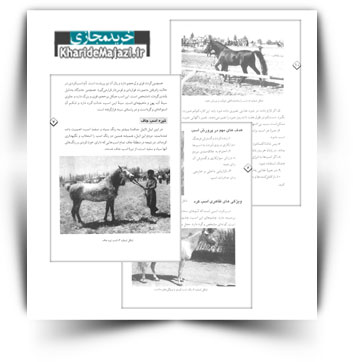 کتاب آموزشی معرفی و پرورش اسب نژاد کرد